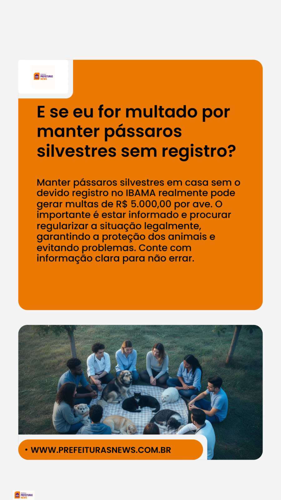  O Silêncio Interrompido: GCM de Cotia Desmantela Submundo de Crueldade em Rinha de Pássaros